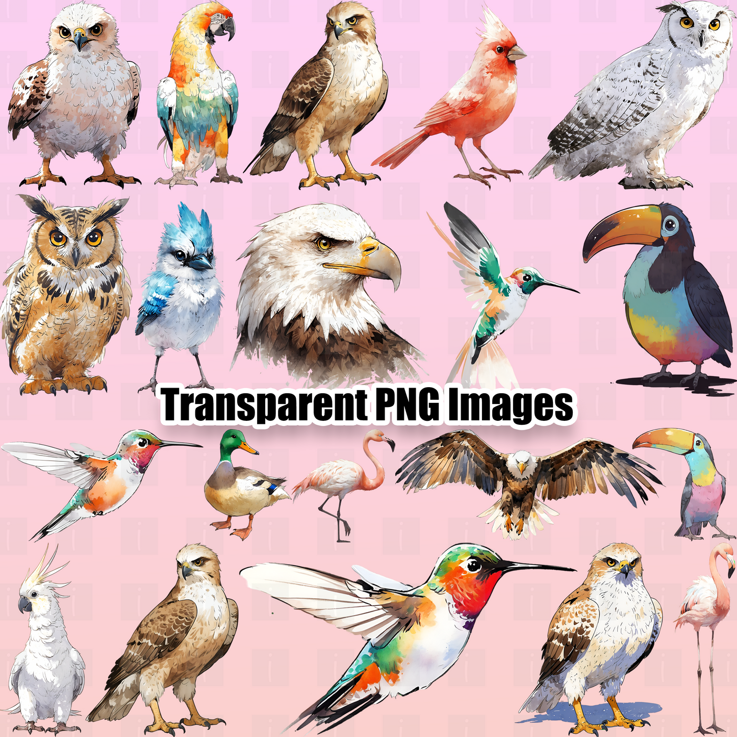 20 National Bird Day Clipart