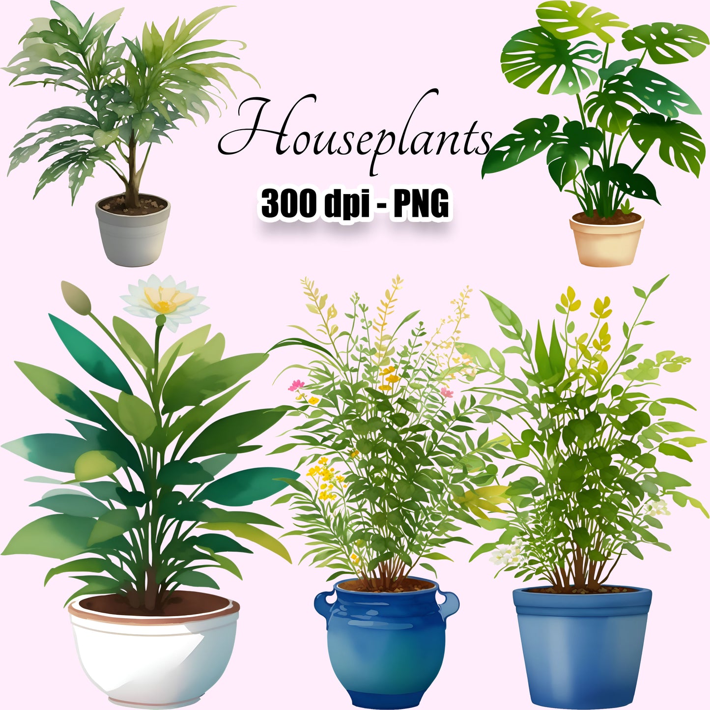 24 Houseplants Clipart