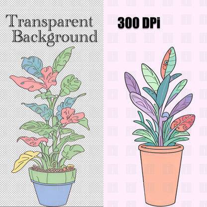 24 Houseplants Clipart