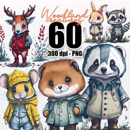 60 Woodland Animals Clipart