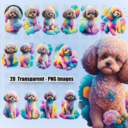 20 Watercolor Poodles Clipart