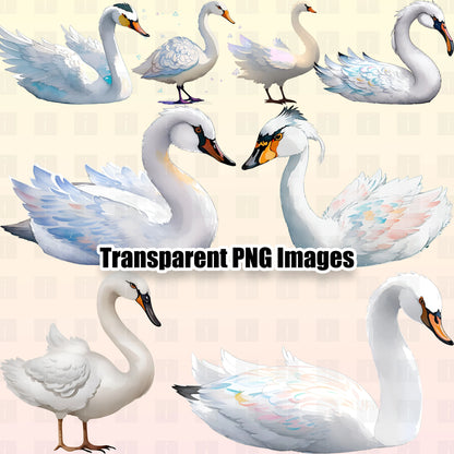 17 Swans Clipart