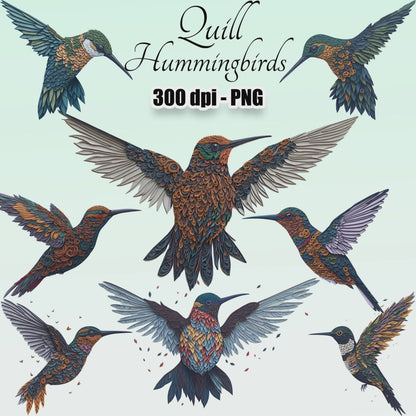 24 Quill Hummingbirds Clipart