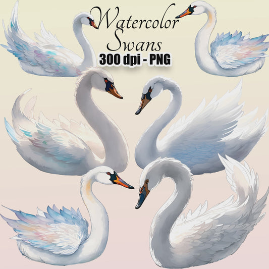 17 Swans Clipart