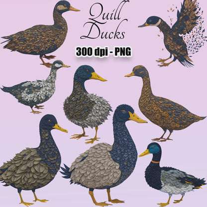 21 Quill Ducks Clipart