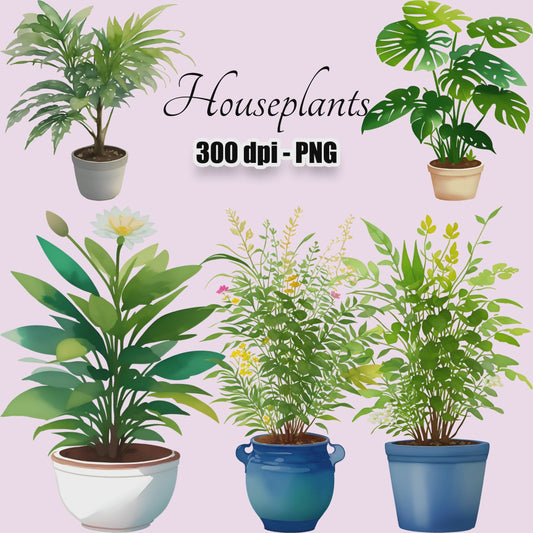 24 Houseplants Clipart